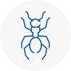 Ant Removals In Peebles
