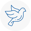 Bird Prevention Peebles