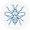 Peebles Hornet Nest Removals