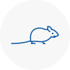 Mice Exterminators In Peebles