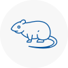 Rat Control Peebles
