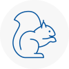 Peebles Rodent Removals